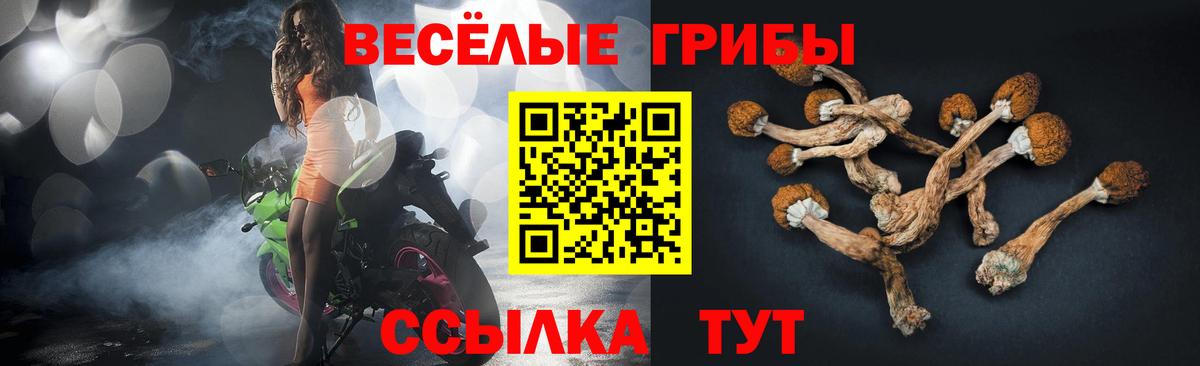 Псилоцибиновые грибы ЛСД  дарнет шоп  Урюпинск  Псилоцибиновые грибы ЛСД  Вход с VPN 